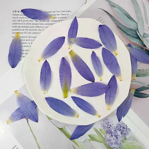 Lila Torkade Näckrosblad för Harts Hantverk, 3 st Naturliga Äkta Pressade Torkade Näckrosor för Harts DIY Smycken Ornament Hantverk Kan