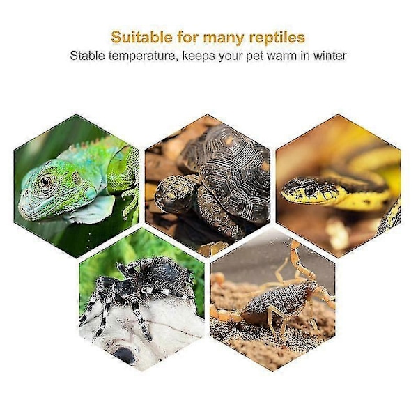 3 stk. Reptil Lampe
