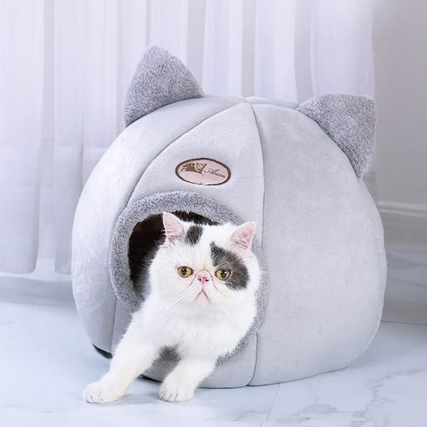 Cat and dog bed soft cushion cat litter luxury pet house autumn a