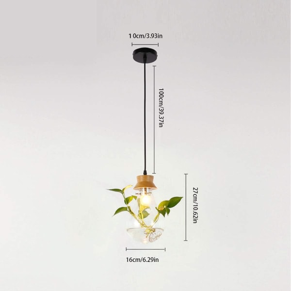 *Lysekrone Glass Akvarieplante Akvarie Lysekrone Hage Små*