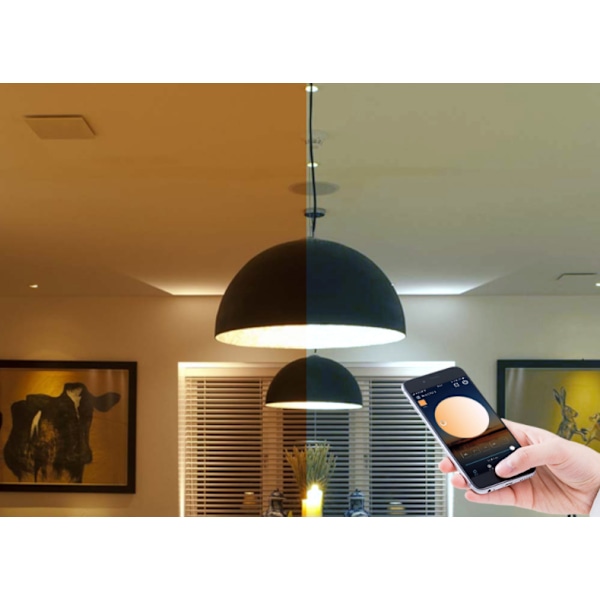 *Farve LED-pære Farveskiftende Dæmpbar E27 Edison RGBW Fjernbetjening Inkluderet [Energiklasse A+]*