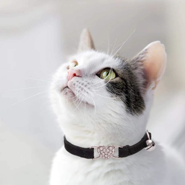 *Kattkrage, Mjuk Sammets Justerbar Kattkrage med Klocka, Söt Husdjur*