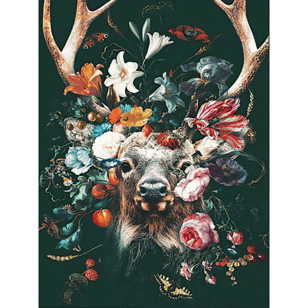 30x40cm 5D DIY Diamantmålning Full,R#Série Animaux,DIY Diamant