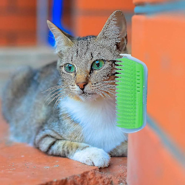 2 st Hund & Katt Självgrooming, Vägg Hörnmassage Kam Grooming Borste - Ljusblå
