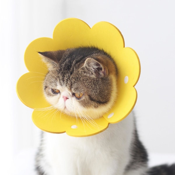 Skyddskrage med blommönster, läckagesäker, EVA-material, för katt, inomhus, gul, S