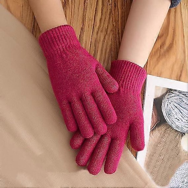 Dam Höst och Vinter Enkla Mode Dubbelstickade Varma Handskar Pekskärm Damstickade Handskar