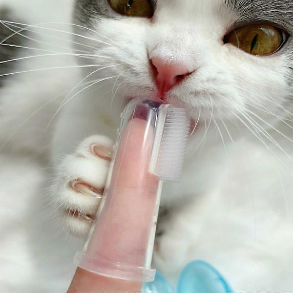 Fingertandbørste til kæledyr, fingertipstandbørste til kat, superbløde fingertandbørster til hund - tandbørster til mundpleje til alle kæledyr, 10 stk. tandrensning