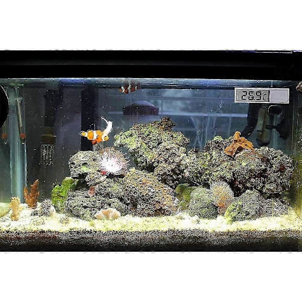 Akvarietermometer, 2 Højfølsomme Digitale, Dobbeltsidede Klistermærker, Nøjagtighed Op Til 0,1 Grad (Guld)