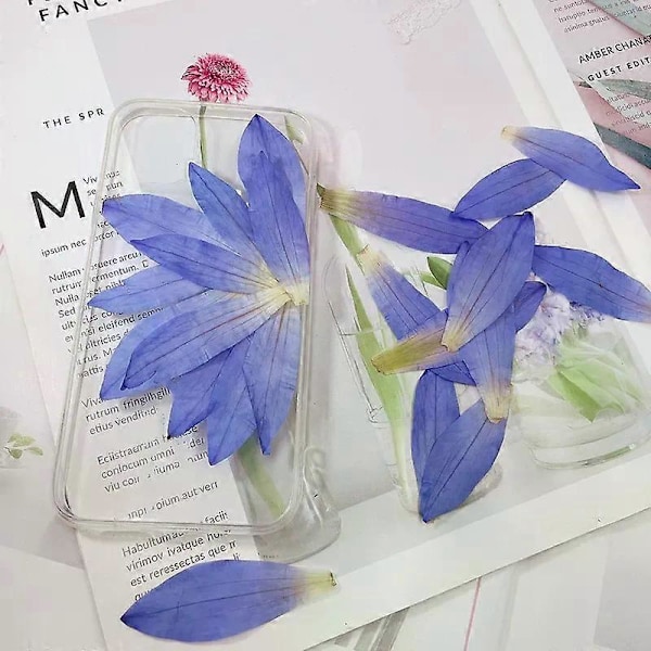 Lilla Tørkede Nøkkeroseblomstblader for Resin Håndverk, 3 STK Naturlige Ekte Pressede Tørre Nøkkeroseblomster for Resin DIY Smykker Ornament Håndverk Kan