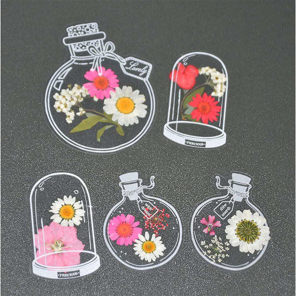 30 st Transparenta Torkade Blombokstäcken, Blombokstäcketillverkare