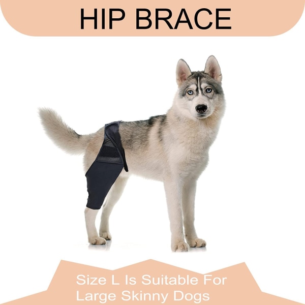 Albuebeskytter til Hunde med Osteoporose, Skader, Hygromer