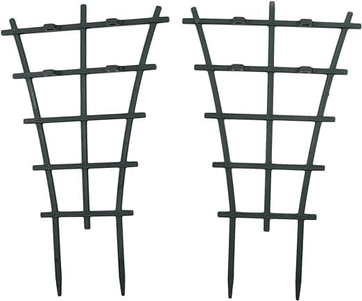 Växtstöd Klätterpergola Stam Fixerat Stöd Krukväxt