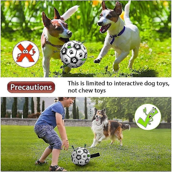 Hundleksaker, Interaktiva Hundfotbollsleksaker Med Greppflikar, Tåliga Hundbollar För Små och Medelstora Hundraser Vattenleksak Inomhus & Utomhus Med Pump