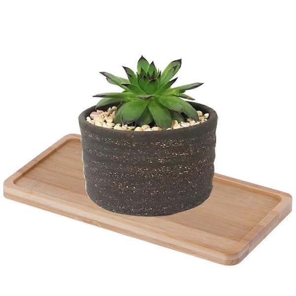Bambu Blomkruka Bricka Te Kopp Mugg Mat Skål Klockor Organizer
