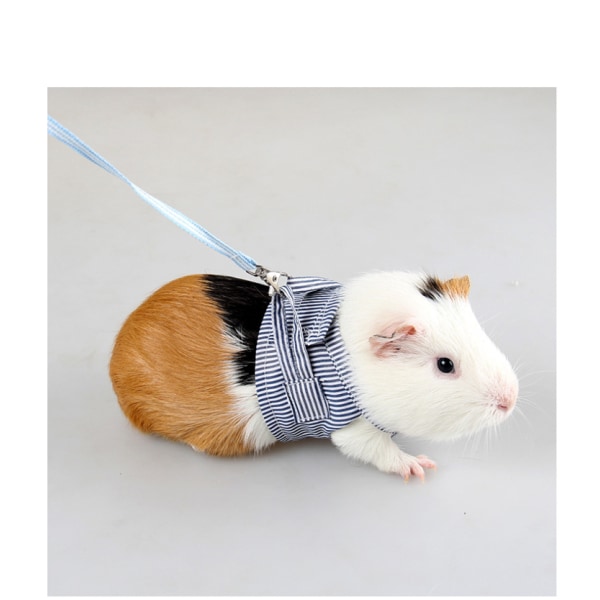 #2 stykker Hamster transportsele blå rosa Hamster transportsele justerbar med bjelledetektor.#