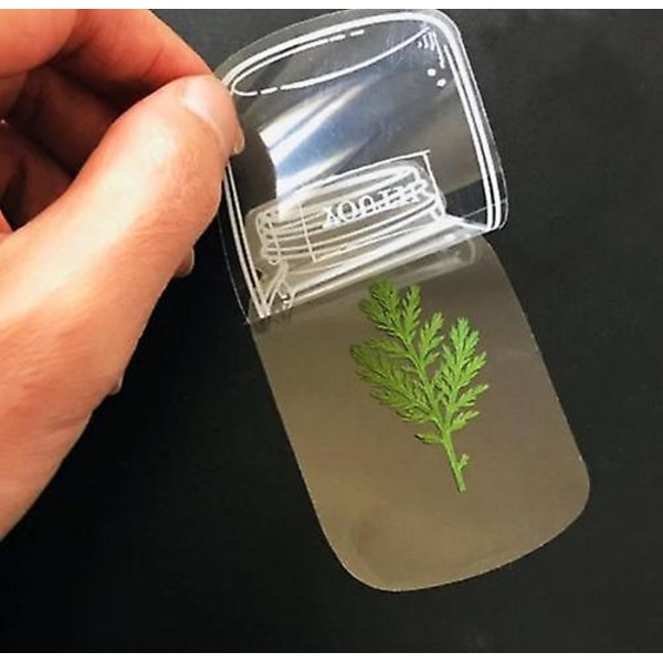 30 st Transparenta Torkade Blombokstäcken, Blombokstäcketillverkare