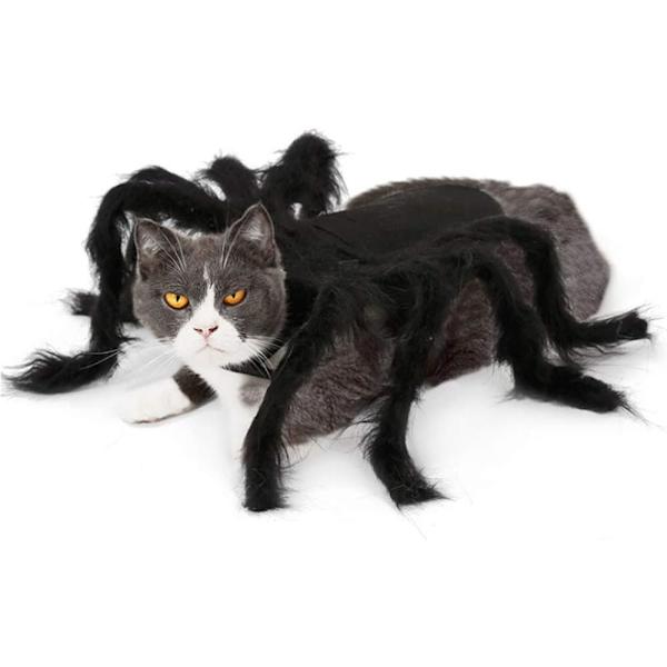 Halloween Edderkoppe Kostume til Kæledyr - Størrelse M