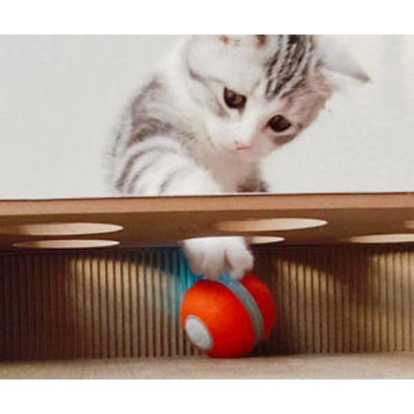 Interaktiivinen kissan pallolelu (punainen), älykäs itsestään pyörivä pomppiva pallo