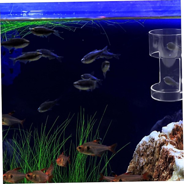 Fisketank Foderautomat Akvariefoderring Fiskefoder Cirkler Foderkreds Akvarium Flydende Foderring Fiskefoder Forsyning Mad til