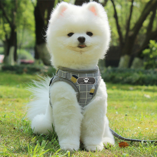 *Pet Chest Harness Vest Style Dog Leash Reflective Harness Cat Chest Back Pet Supplies Gray(L*