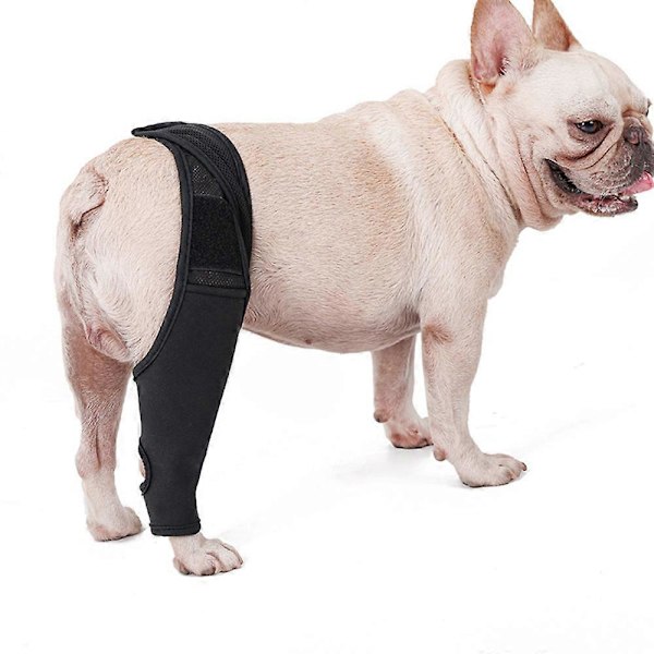 Knäskydd för Hund, Armbågsskydd för Husdjur Neopren Hund Främre Bakre Benärm med Sidostabilisatorer för Medelstora Stora Hundar Främre Bakre Ben Minskar Smärta & Infl
