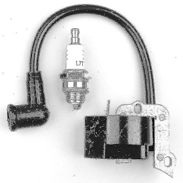 Tändspole för Stihl Fs55 Fs55c Fs46 Fc55 Fs38 Fs45 Fs55 Hl45 Hs45