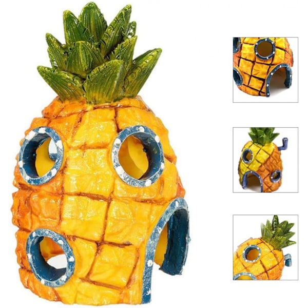 /#/Ananas hus, hartsgrotta akvarium/#/