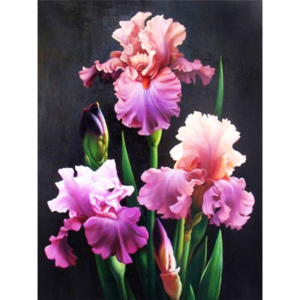 30x40cm 5D DIY Diamond Painting Full, Fleurs#B, DIY Diamond Rhinest