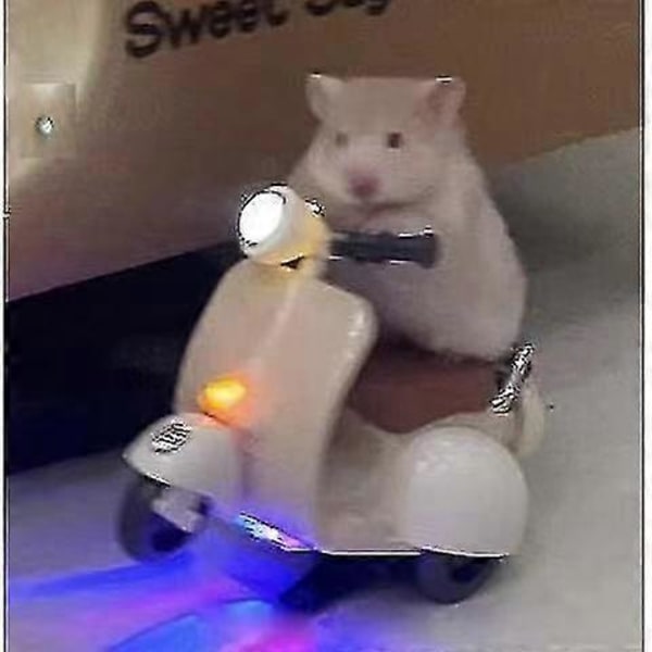 Hamster Motorcykel Legetøj Motorcykel Hamster Træner A