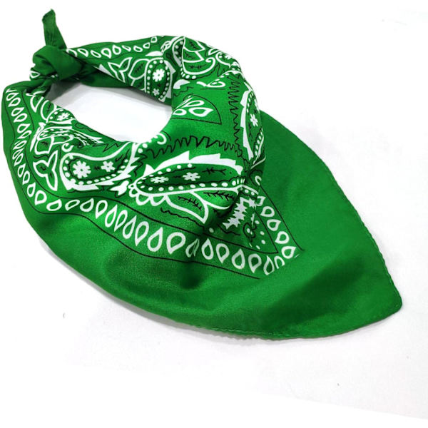 Halsduk Halsdukar Rem Cashewnöt Bandana Design Halsduk Nyhet