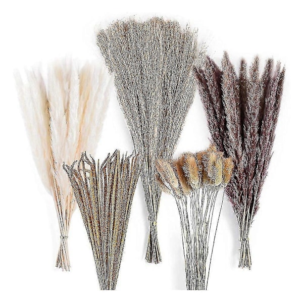120 stk. Tørket Pampasgress Bukett Dekor, Boho Hjem Rom Bryllupsfest Arrangementer, Høst Tørre Blomster Bunter Bulk Høy