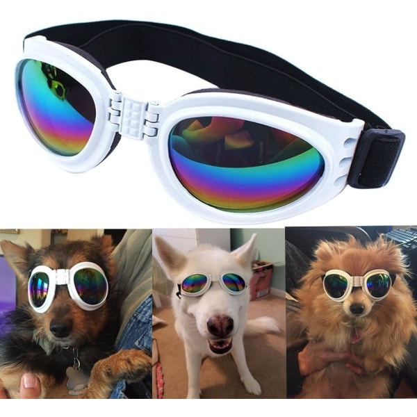 Ett vitt vattentätt solglasögon för hundar som väger över 15 kg