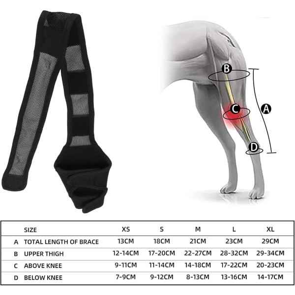 Hundarmbågsstöd, hundkompressionsknästöd, armbåge och axel S