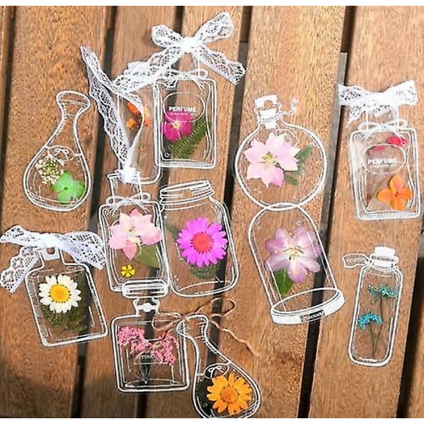 30 st Transparenta Torkade Blombokstäcken, Blombokstäcketillverkare