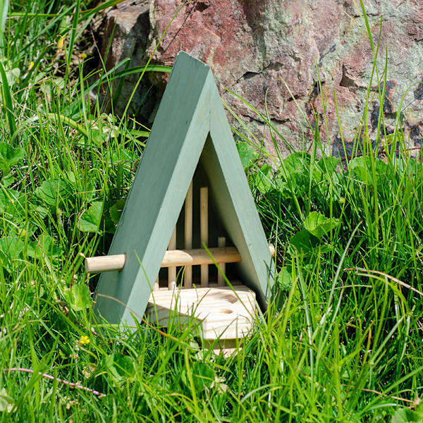 Wildlife World Sommerfuglehus og Foderstation - Naturligt Habitat til A
