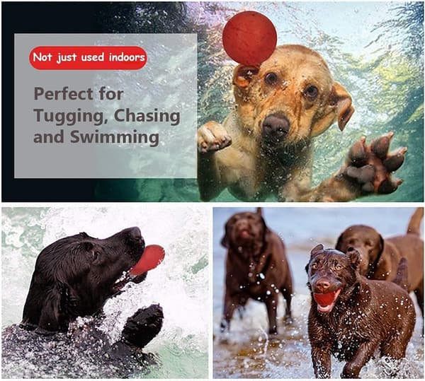 3 st Hundleksaker med Gummikula och Rep, Husdjursleksaker, Kattleksaker