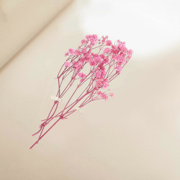 1 Set DIY Handarbete Material för Tillverkning Doftande Torkade Blommor Torkad Blomma DIY