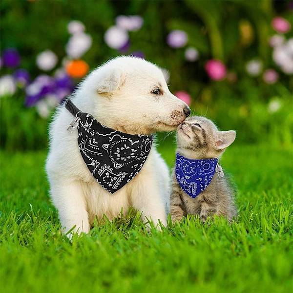 Koiran Bandana-kaulus, 3 kpl Säädettävää Lemmikkieläinten Kolmionmuotoista Bandanaa, Do