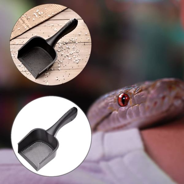 1 x Kattsandsskopa, Kattskopa, Reptilskopa, Sand, Liten S