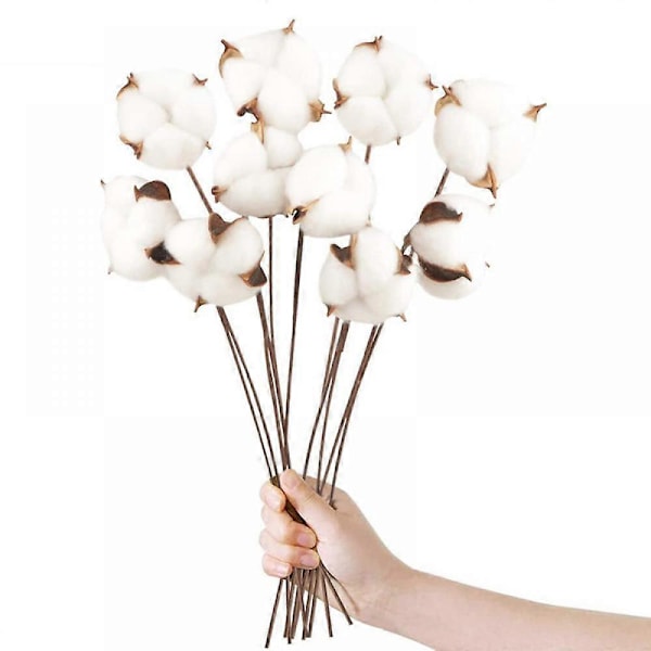 10 Pak Naturlige Bomuldsblomster Tørrede Blomster Bomuldsstængel Naturlig Blomst Falske Bomuldsgrene Falske