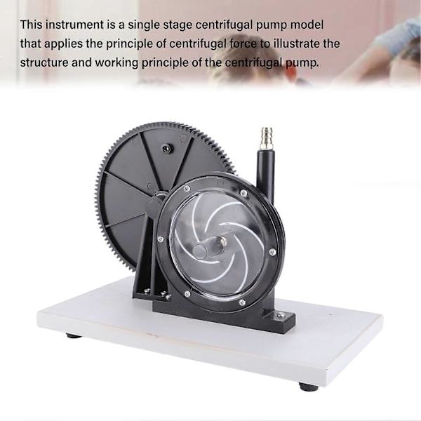 Sentrifugalpumpe Modell Gir Type Fysikk Eksperiment Demonstrasjon PVC Sentrifugalpumpe Undervisningsmodell