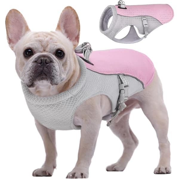#Pink Hundekølevest (Medium)#