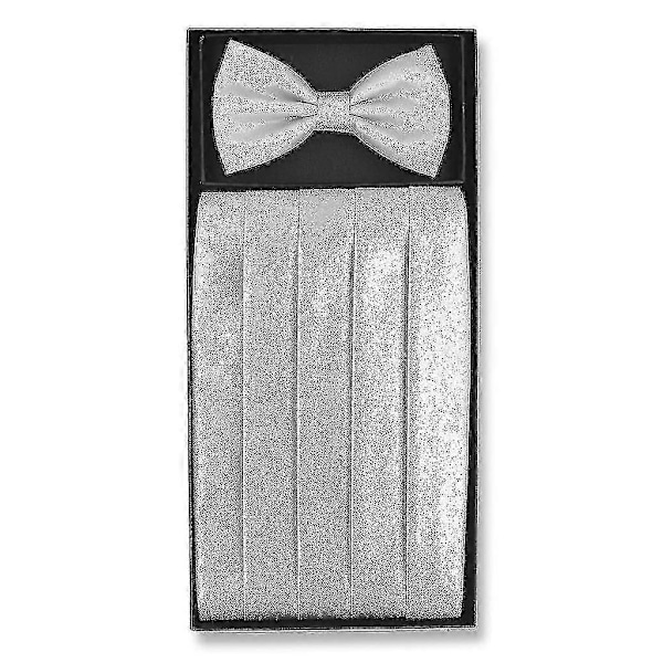 Cumberbund & Sløyfe Metallisk Design Herre Cummerbund Sløyfe Sett TY