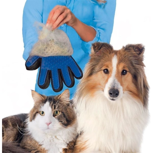 2 stk Blå Højre Hånd Handske Magic Pet Rengøringsbørste, Blå