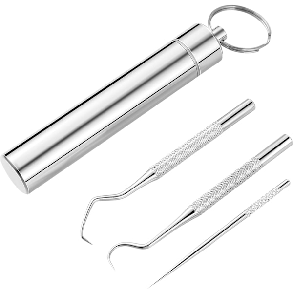 3-pack Rostfria Tandpetare Rengöringsverktyg Tandkrok Skrapa Port
