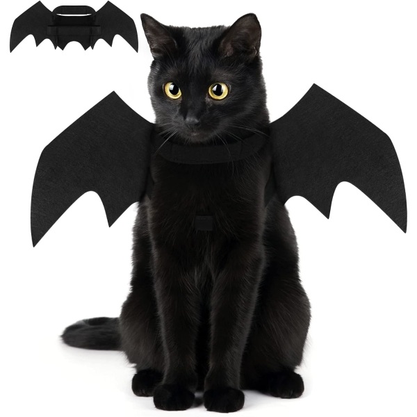 halloween hund katte kostume, katte kostume halloween hund kostume hal