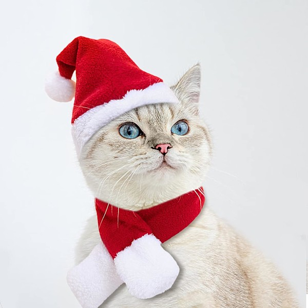 /#/Husdjursdräkt för helgdagar St Patricks födelsedag katt hund Halloween C/#/
