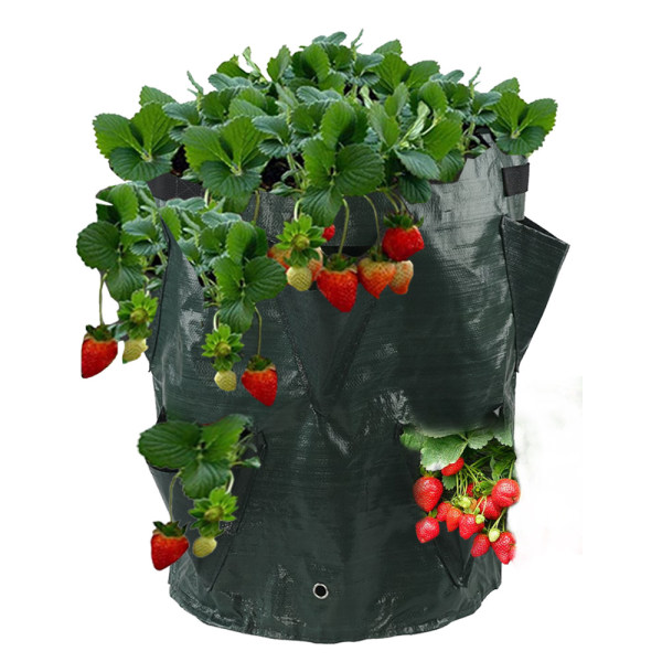 /#/Jordgubbspåse - Planteringspåse för jordgubbar - X2/#/