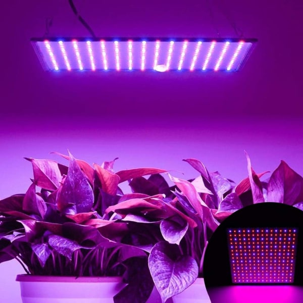 /#/1000W LED-lys for hagebruk, blomstring og dyrking, innendørs dyrking/#/