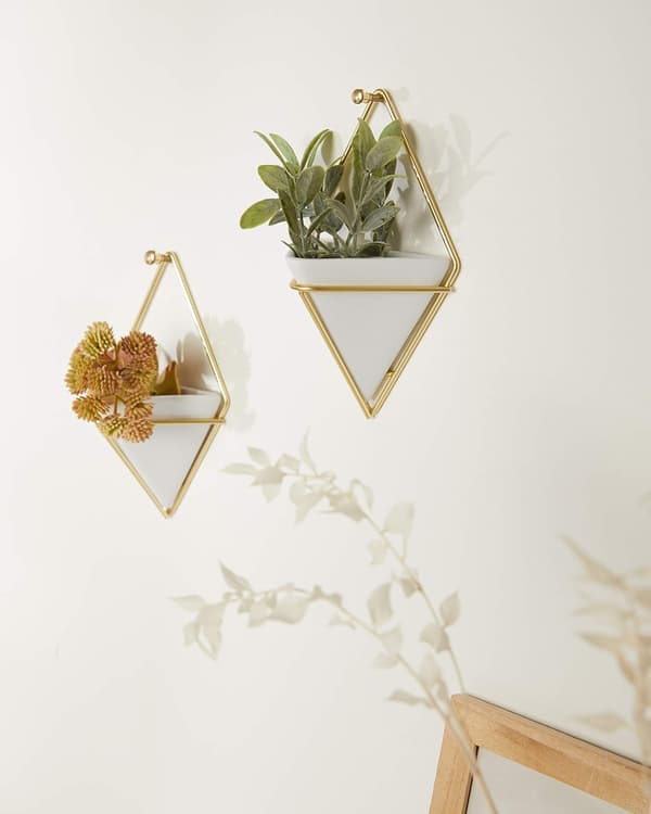 *Hängande planter och geometrisk väggdekor för små växter, suckul*